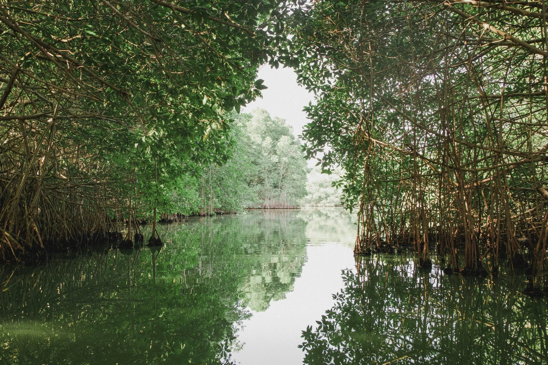Madu River, and the long beach.