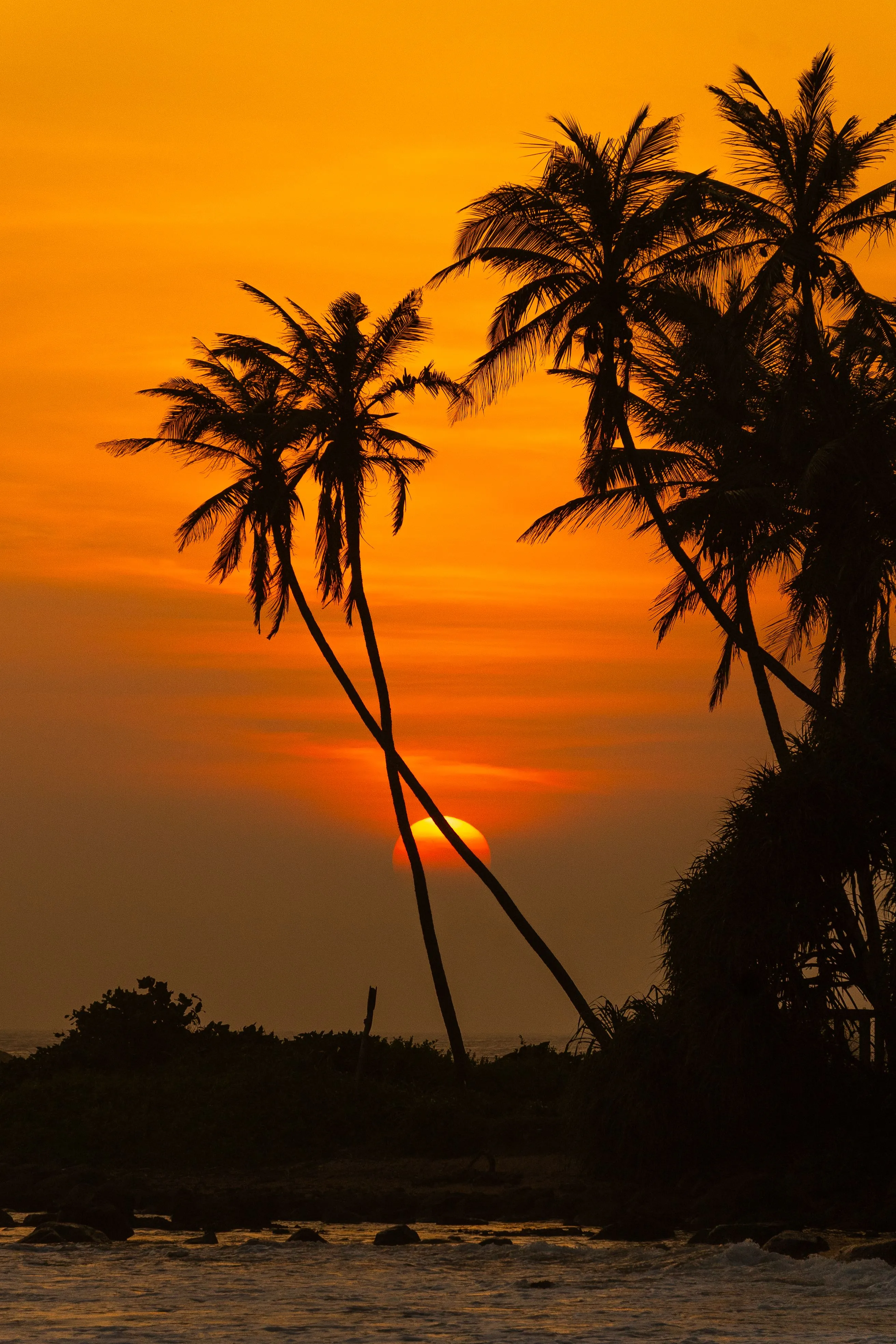 Sri Lanka Honeymoon Guide